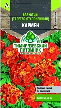 Бархатцы Тимирязевский питомник Кармен О 0,3 г